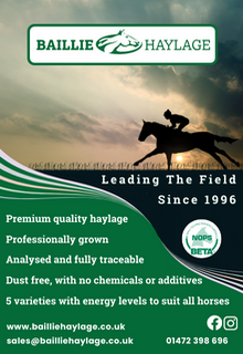 Top quality forage for the optimum health and well-being of your horse