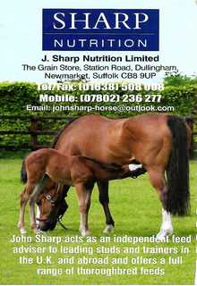 Thoroughbred Nutrition from John Sharp