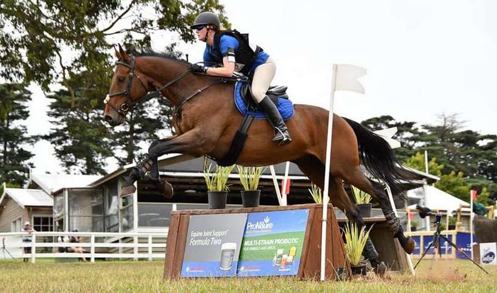 Rehoming Racehorses