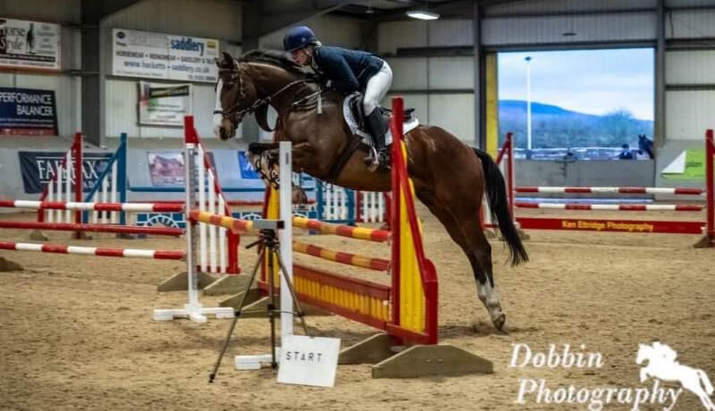 Rehoming Racehorses