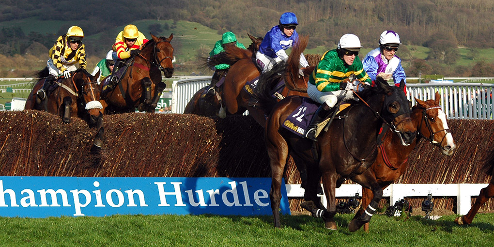 Rehoming Racehorses